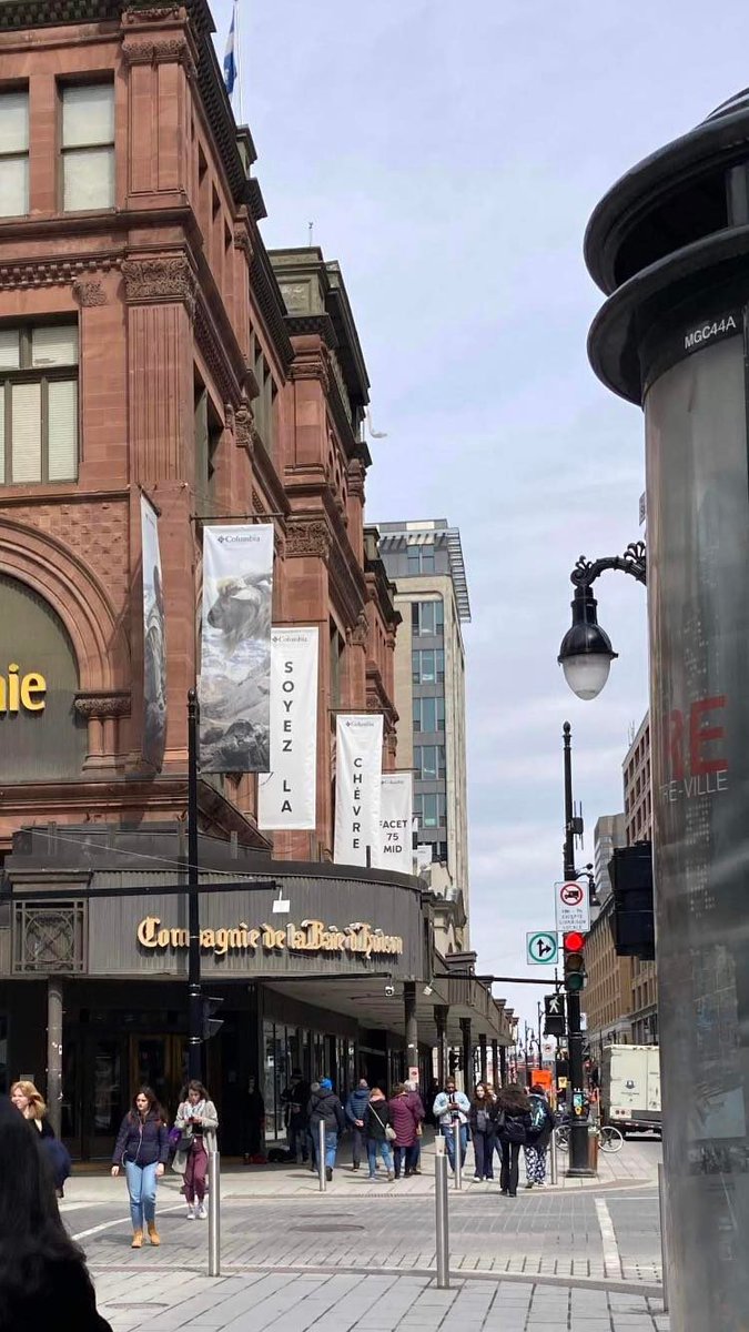 Patrice Cinq-Mars tweet media