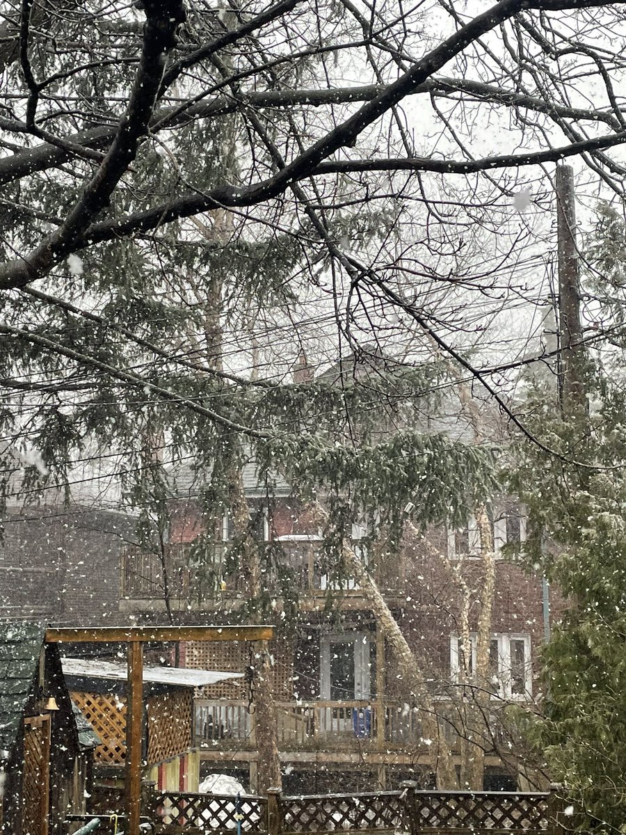 JamisonSteeve's tweet image. The return of thunder snow!! March is so indecisive. #springofdeception