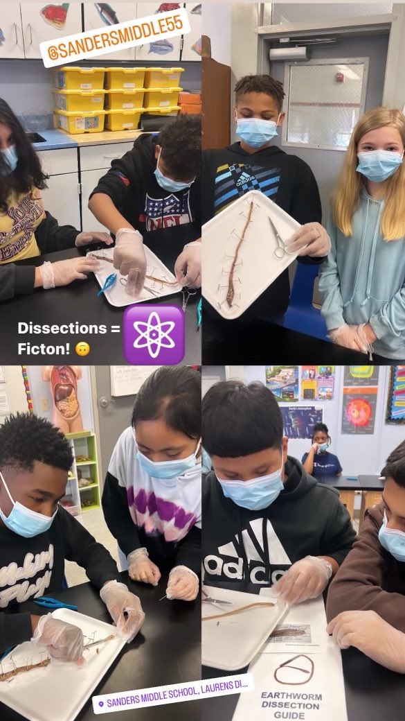 SandersMiddle55's tweet photo. 6th graders in Ms. Etha’s science class dissected worms! Science rocks @SandersMiddle55! #RocknLearn @864Dawkins_ @LCSD55 @loveSCschools https://t.co/tTo7BHHEao