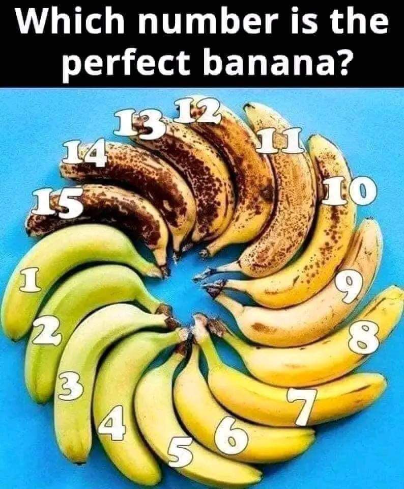 MarinaMarraco's tweet image. A debate thats taking over the @fox5dc newsroom, because some days you gotta keep it light! 

What’s your pick??

I’m taking 5! At 6 it’s too ripe! 🍌

#DMVZONE