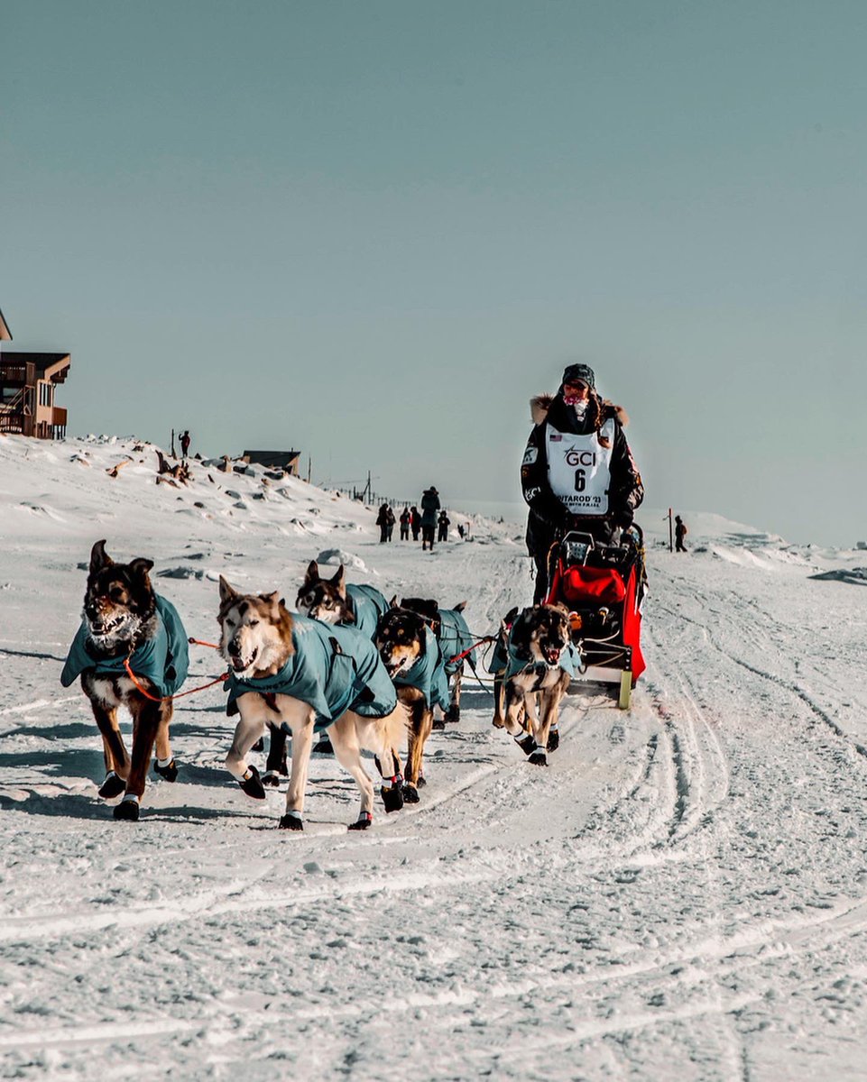 Cherith Brook tweet media