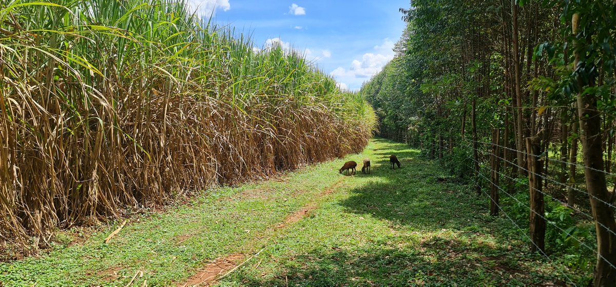 Cathy Cole Ltd tweet media