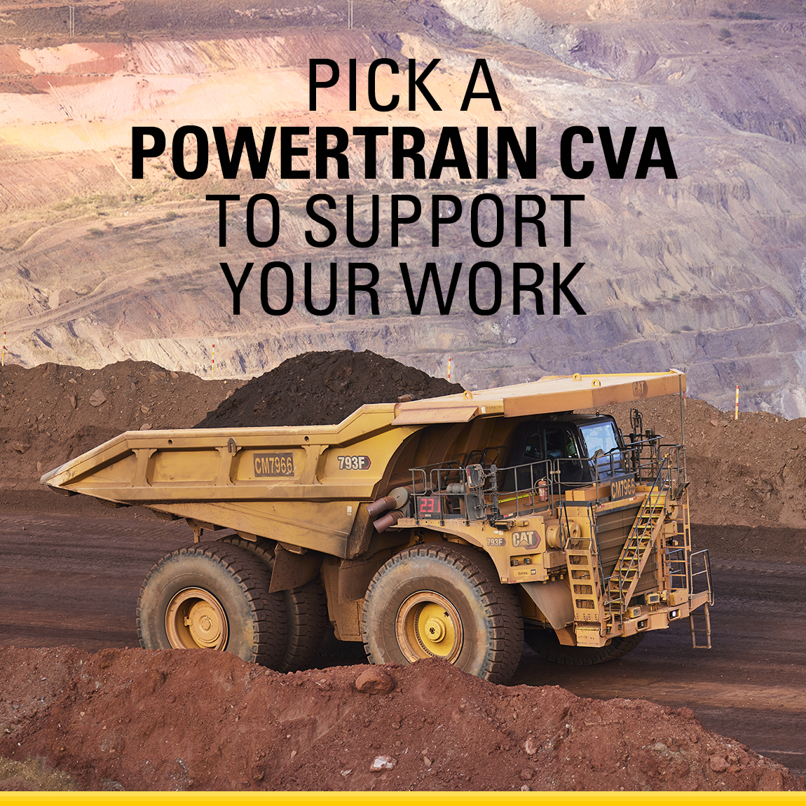 Cat Mining tweet media