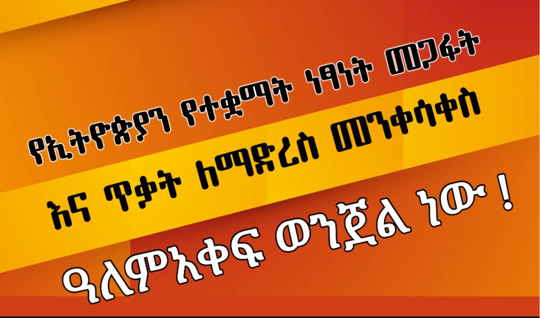 seid fetret (@12kolfe) on Twitter photo 