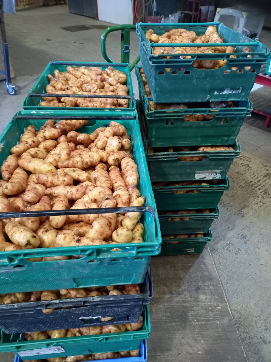 Ballymakenny Farm® tweet media