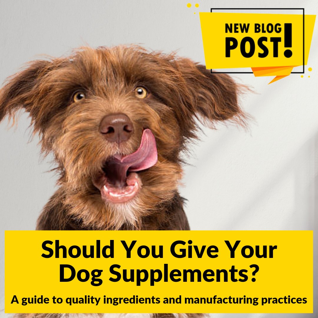 DogEhOfficial's tweet photo. Ever wondered if supplements are the key to your pup's well-being? ๐ถ๐ญ
https://t.co/4jyG1M8NkY
#dogsupplements #qualityingredients #manufacturingpractices #doghealth #dogwellness #petwellness #dogblog #newblogpost #dogeh #dogehblog https://t.co/zkiac3G6an