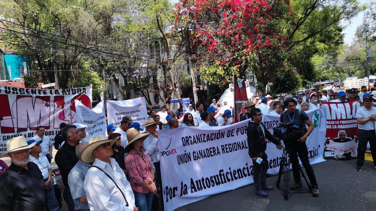 davidhuitronm's tweet photo. #ManifestaciónOpormex 
Porcicultores de la @Opormex_org provenientes de Querétaro, Jalisco, Sonora, Sinaloa, Guanajuato ... piden a #LópezObrador, a través de la secretaría de #Economía (@SE_mx ) "no dejar morir a la porcicultura". https://t.co/Rg1YRGvTok