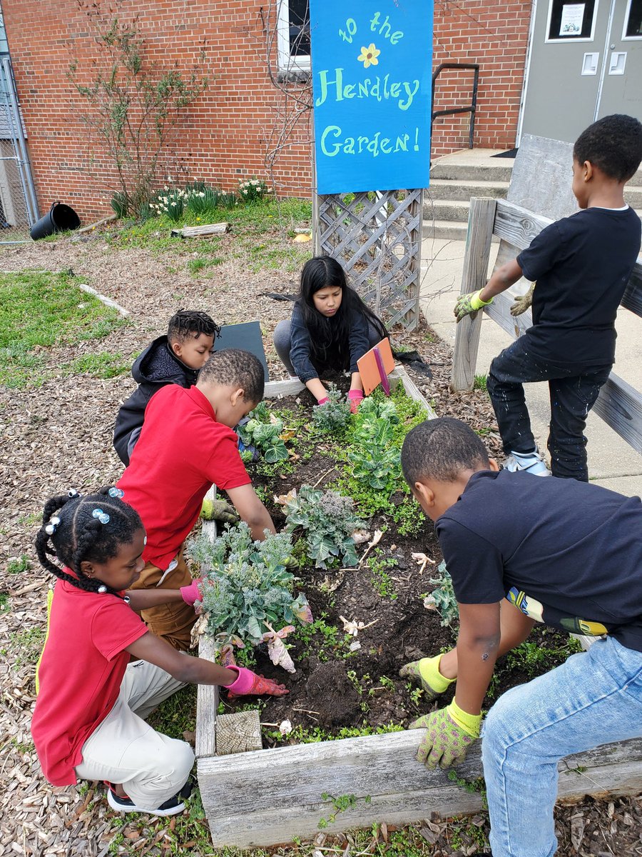 Ms. Baratta tweet media