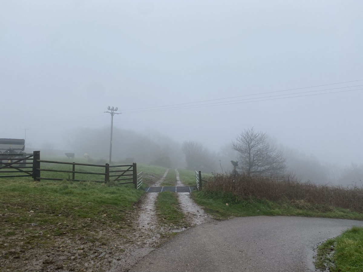 Walking from Luppitt today #devonwalks