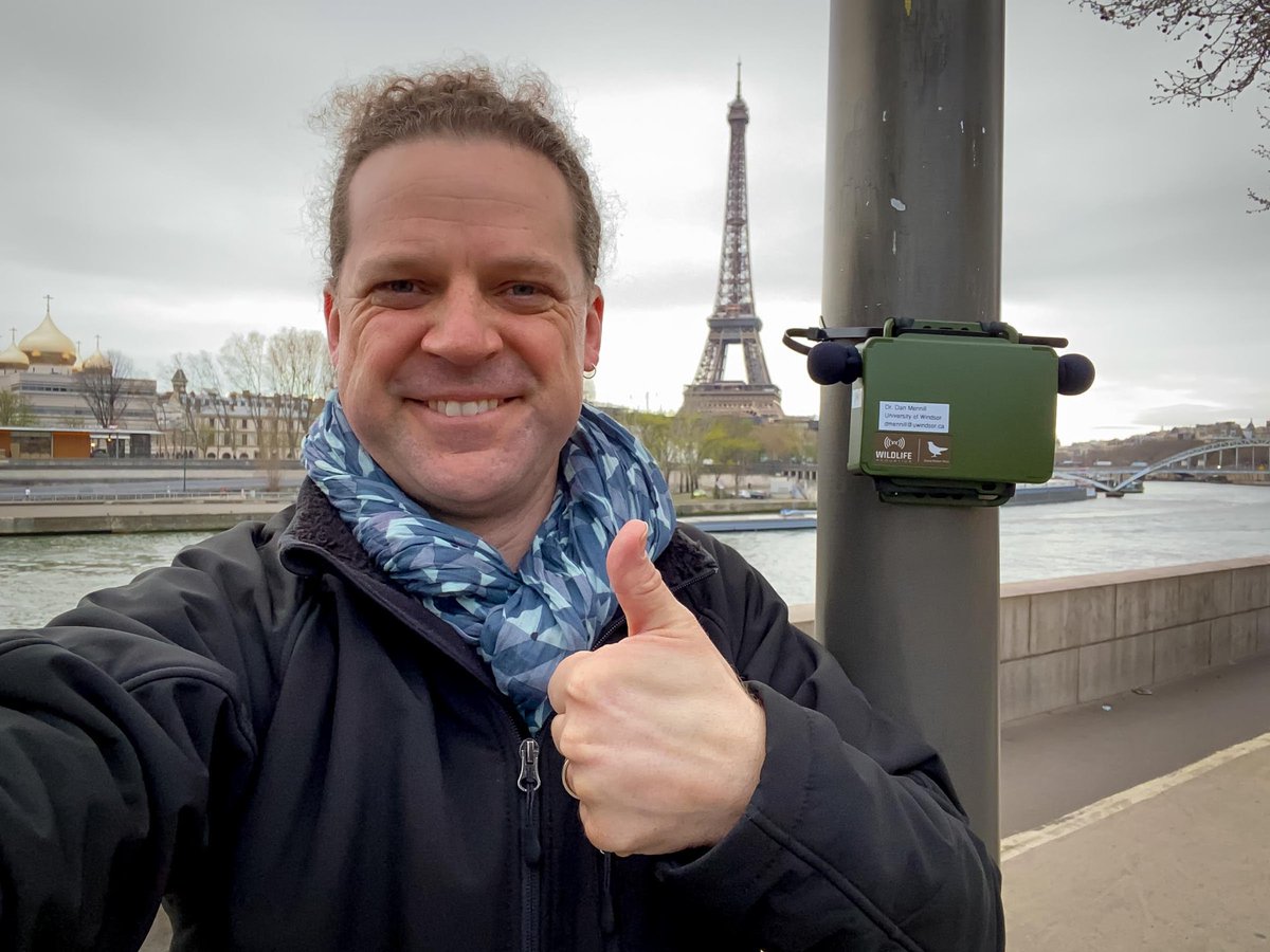 Afternoon Drive (@cbcafternoondr) on Twitter photo Coming up at 4:20, we'll chat with <a href="/UWindsor/">University of Windsor</a> biology prof @dmennill about his research for the Global Urban Bird Survey in Paris, France. Listen at cbc.ca/London Coming up at 4:20, we'll chat with <a href="/UWindsor/">University of Windsor</a> biology prof @dmennill about his research for the Global Urban Bird Survey in Paris, France. Listen at cbc.ca/London