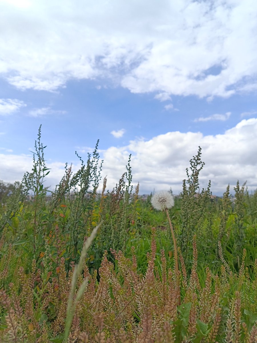 LoveStrongJB1's tweet image. Ojalá se fueran así, tan fácil cuando ya es debido; sin dolor, sin pensar en el futuro o el destino..