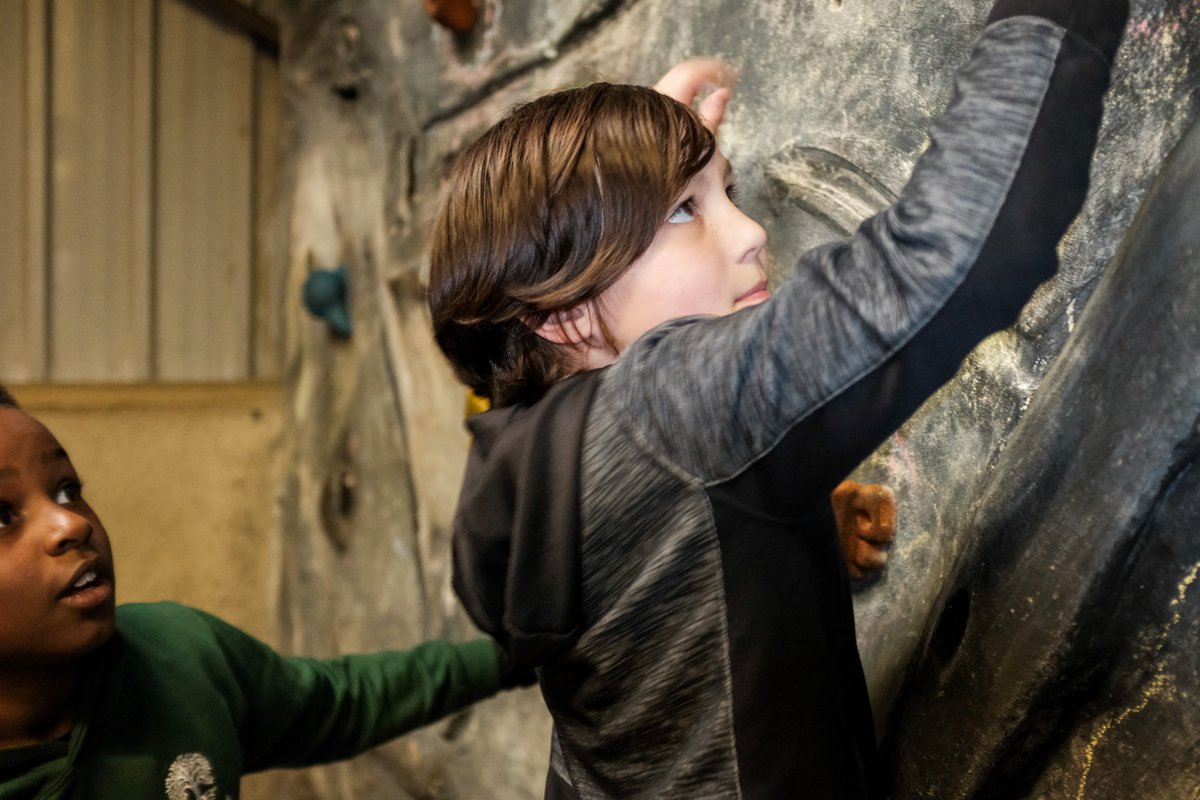 Willow Park C of E Primary School tweet media