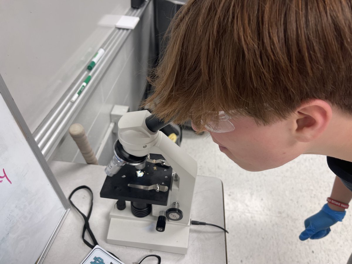 brencole94's tweet photo. 8th science Ss observed perch scales, gills, fins, and eggs under a microscope today. ⁦@NomsMustangs⁩ ⁦@OldhamCoSchools⁩ https://t.co/fVDj7yAdW4
