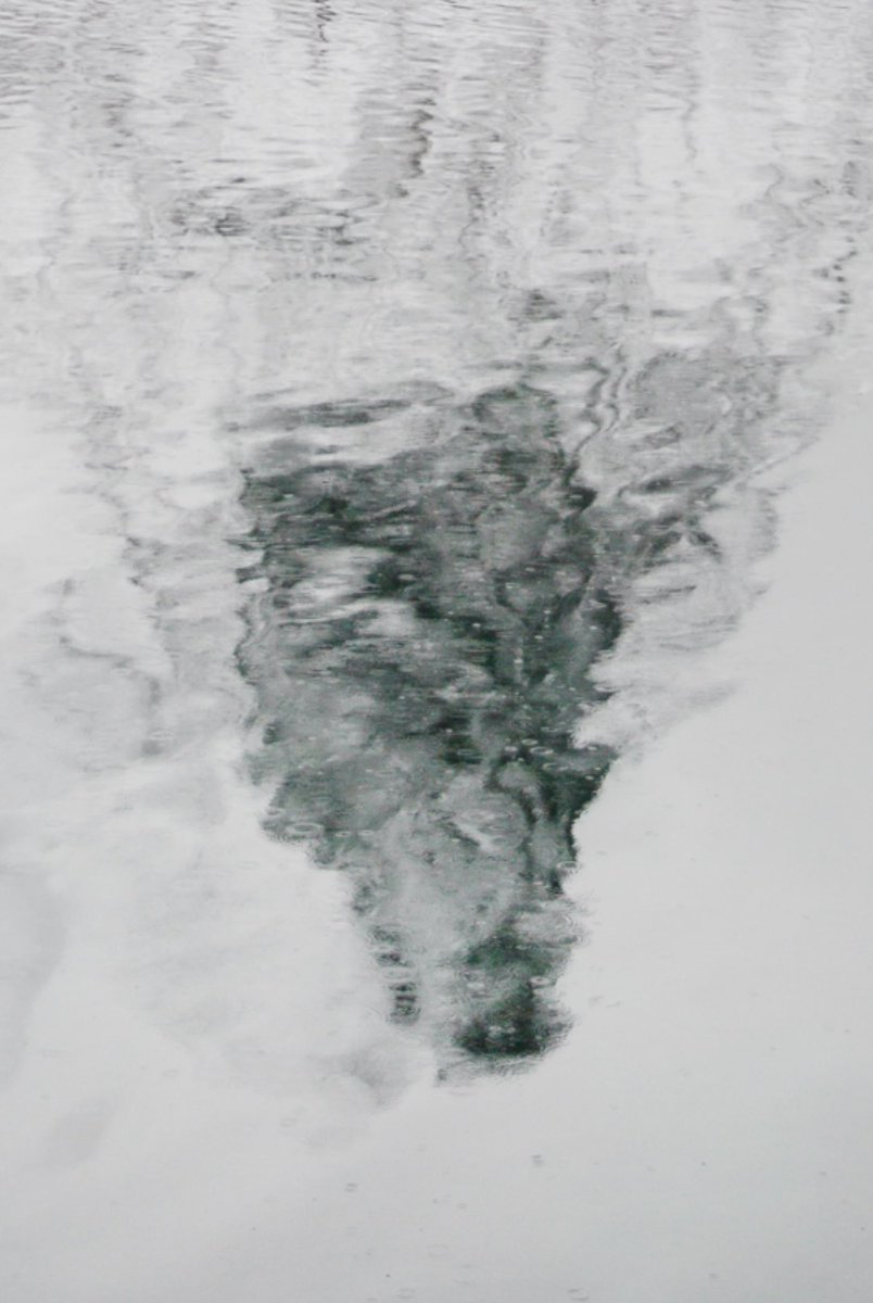 MarkRacek's tweet photo. I’ve always loved this photo from Lofoten.  The reflection of the peak always reminds me of a wolf’s head.  Do you see it? https://t.co/SEyidh6l2W