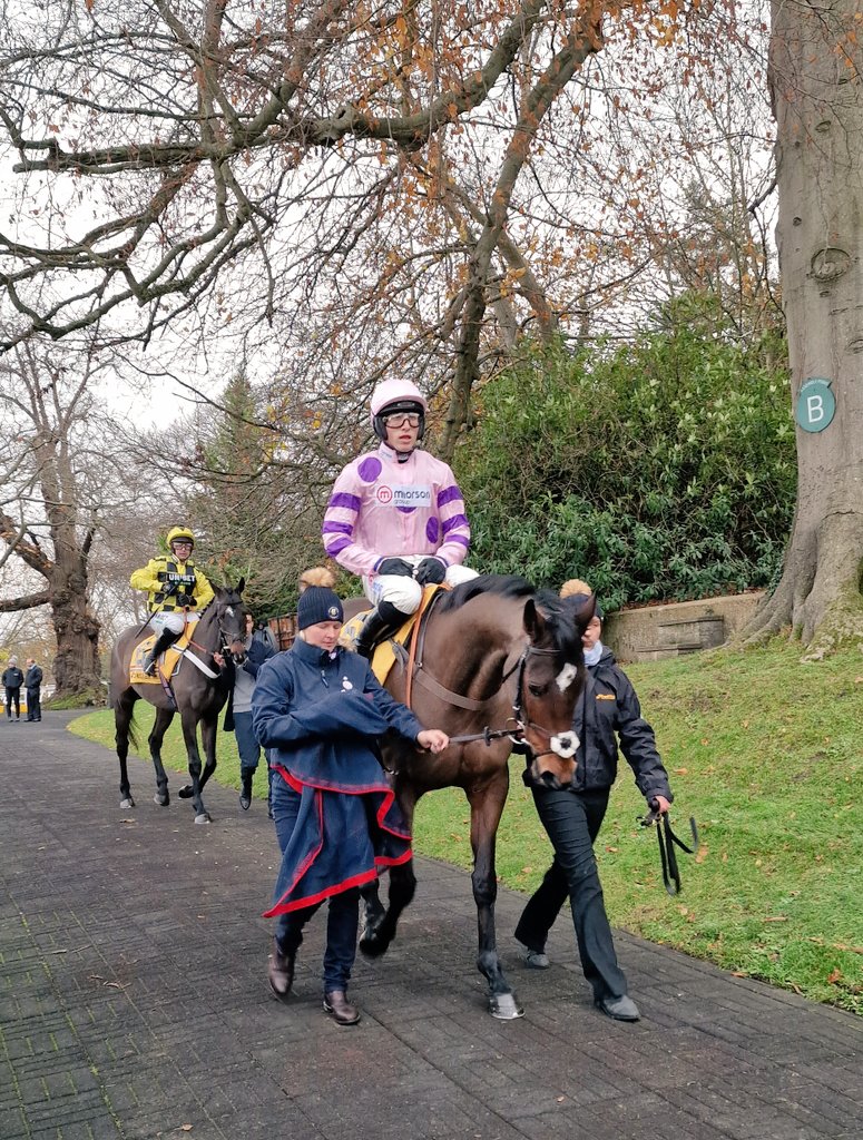 Stephen R Power tweet media