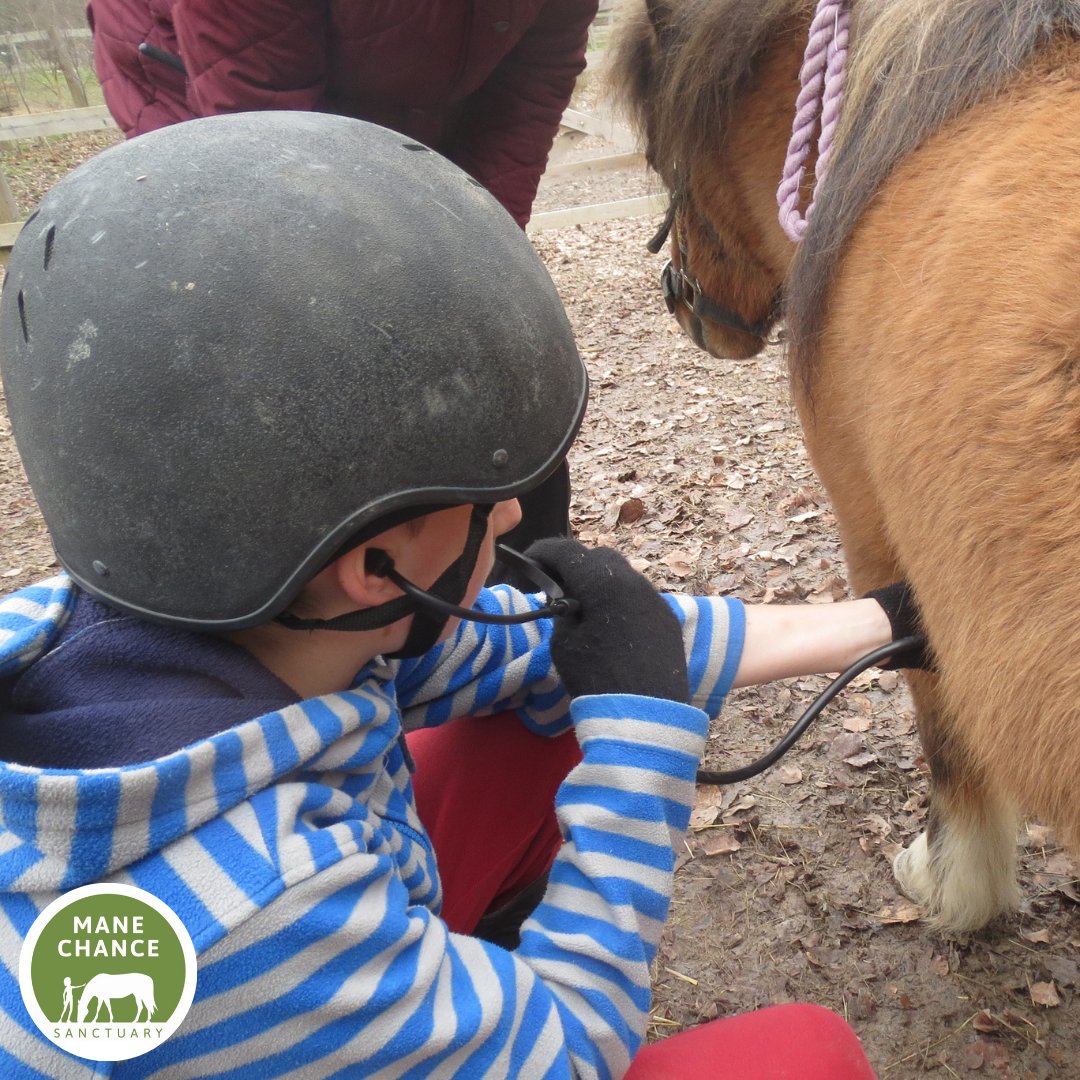 Mane Chance tweet media