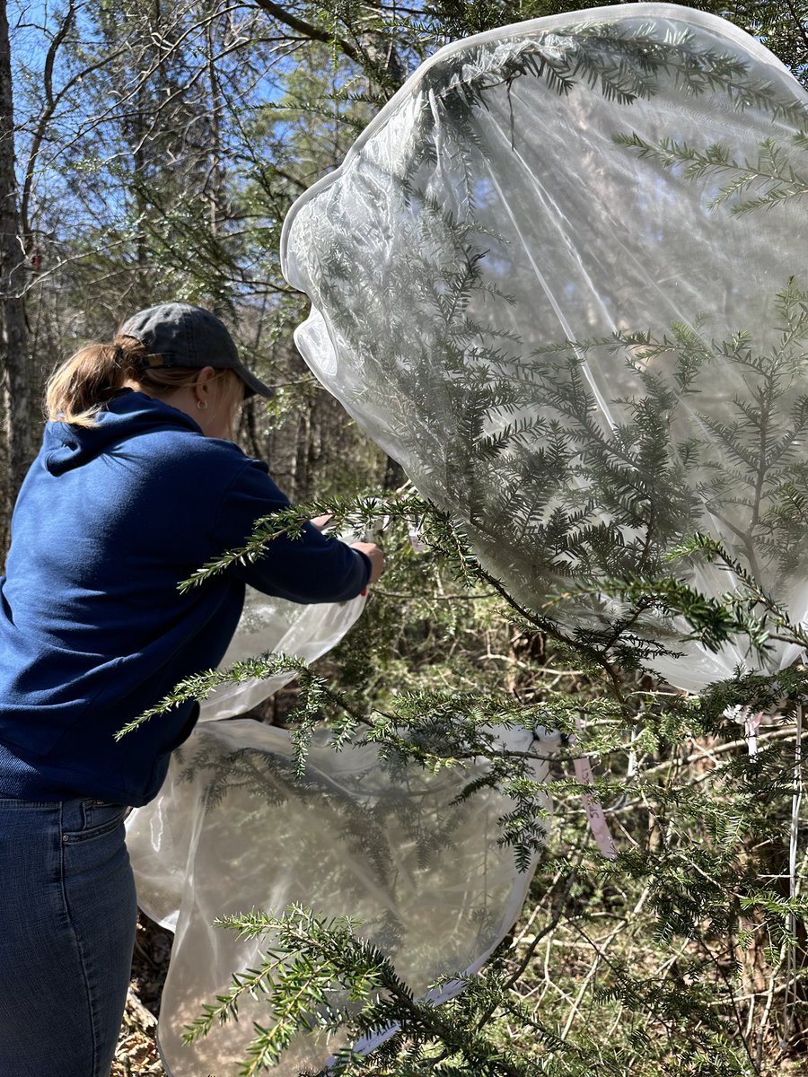 Taylore Tomlinson tweet media