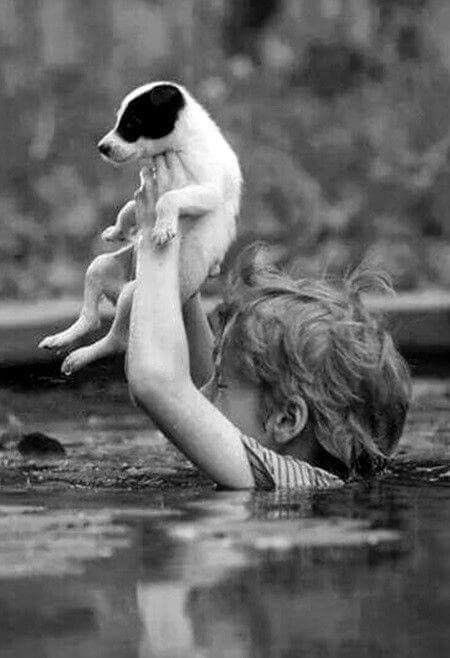 BambiniConverse's tweet photo. Amare significa "avere cura", di una persona, un animale, una pianta, un luogo, un ricordo. "Se non hai cura non ami"!
#musk https://t.co/ijK7OnuGxe
