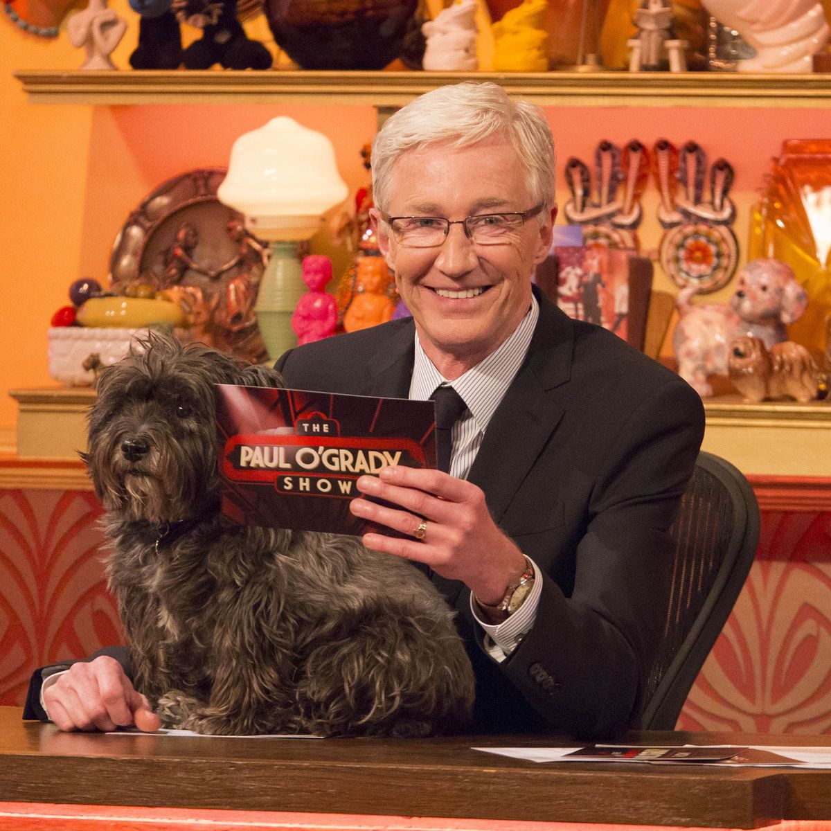 Backyardbeasts's tweet photo. Was genuinely saddened by today's news, I think Paul  O Grady was one of the first TV presenters  (maybe even people) I saw who demonstrated a real bond between a human and animals that went well beyond pet / owner or the often forced TV tropes of having animals in the studio https://t.co/U4UOvaJ2Ur