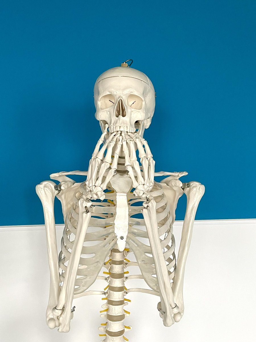 TheLibraryHUD's tweet image. Scared of the upcoming submissions? Click the link below and book a 1-1 appointment to get help with your assignments 

👉 libguides.coventry.ac.uk/c.php?g=694362…

#covuni #coventryuniversity #hudsonlibrary