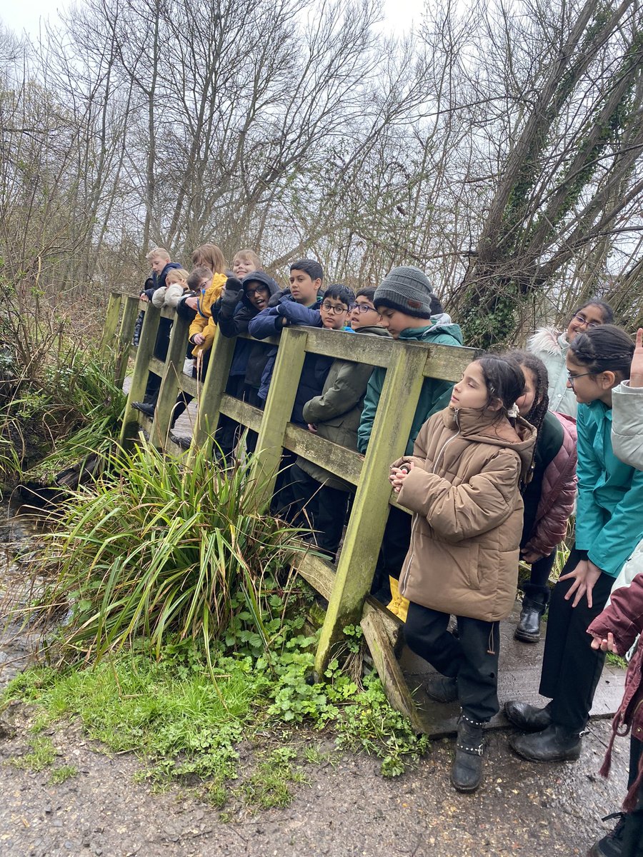 Gade_WPA's tweet photo. Today, we took the brown trout that we have been rearing down to the River Chess, where we released them into the wild! It was fascinating to see the brown trouts’ natural habitat and Laura from @Chilternstreams also told us about the history of part of the Chess along Waterside! https://t.co/EGDBQxQYjU