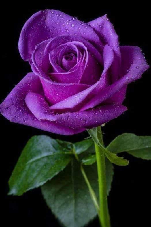 AndrasMohacs's tweet photo. #AICoser https://t.co/Z7TzjMIpjO