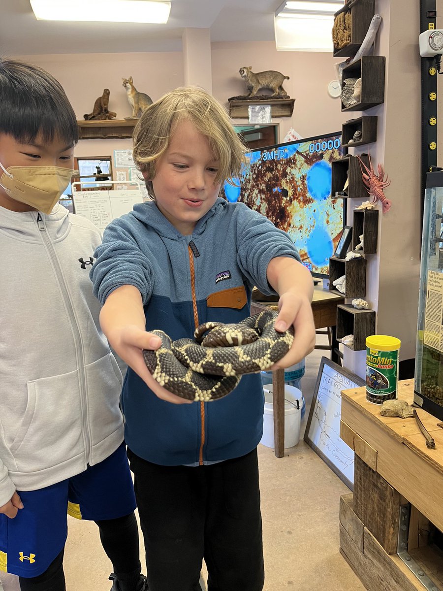 Ms. Ryan tweet media