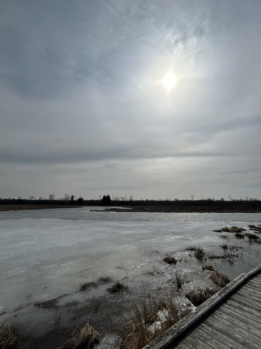 MrsHackett305's tweet image. Beautiful morning @DDSB_OutdoorEd with @309Sage ‘s #NBE classes. The commute home? Not so much. #SpringofDeception