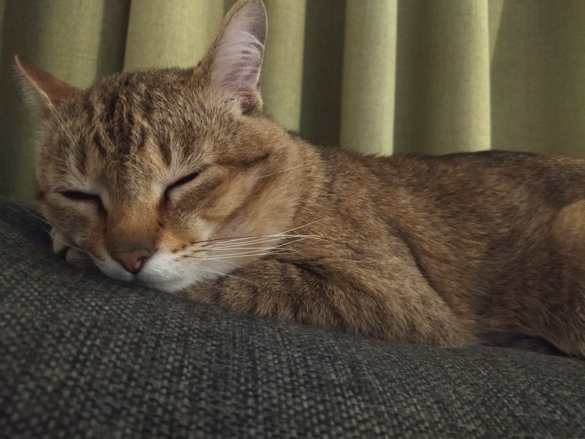 likefailed's tweet image. 