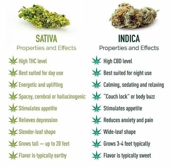 Stoner Tweets tweet media