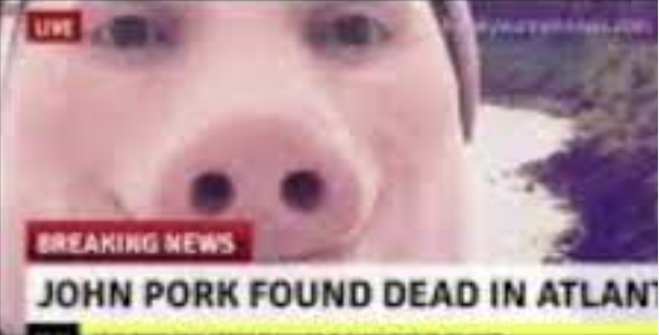 Scarcify tweet media