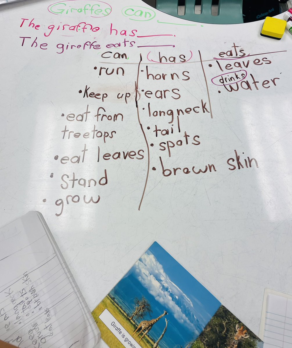 MrsSMendozaCPE's tweet image. #PWIM ,Tree Map,Writing &amp;amp; reading sentences aloud…all on their first month of school. Three, 20-minute lessons.They worked so hard &amp;amp; we’re so proud. 👏 #ELs #Newcomers #readingandwriting @DrCarolSalva @blackbearsroar
