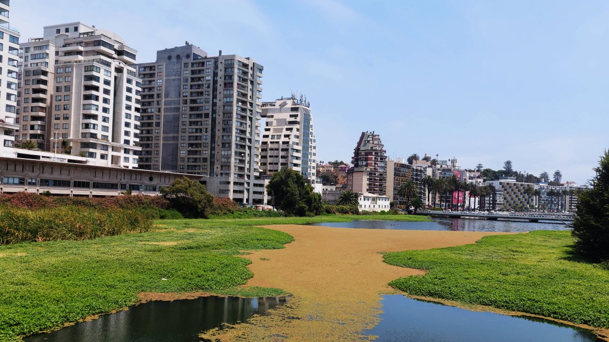 PUCV trabajará en conjunto al Municipio de Viña del Mar para convertir Estero Marga Marga en parque urbano, con el fin de recuperar la condición ecológica de este lugar, preservando así su ecosistema.

Lee la nota en el siguiente enlace:
ead.pucv.cl/2023/pucv-trab…