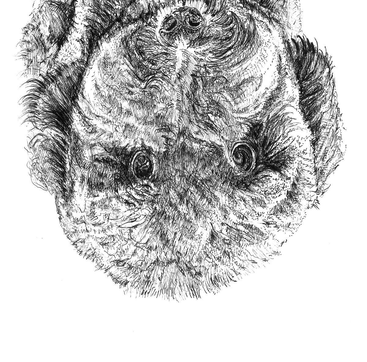acarch2's tweet photo. Sometimes the world is upside down &amp; you need to figure out who you are despite the noise outside. Time is Precious. RIP little Toby 💔 @itstarot @Arben @Rafsby #UpsideDown @Moon_Bats @akidcalledbeast #inkart #animalart #riptoby https://t.co/8UC3yQEGMV