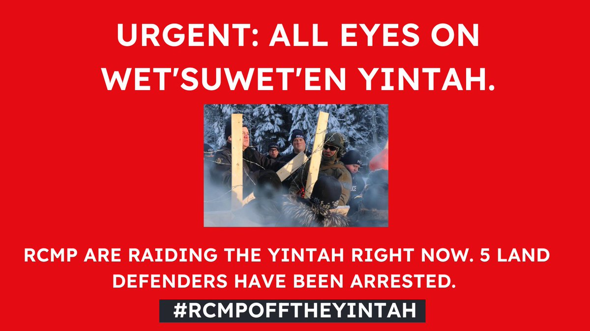 Maya Menezes tweet media