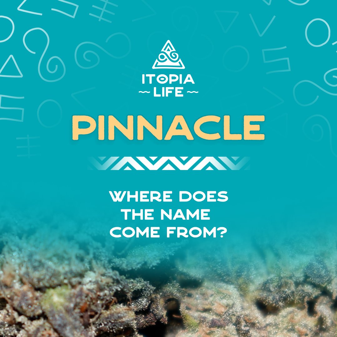itopialife's tweet photo. Comment below if you know where the name Pinnacle comes from.
#Pinnacle #itopialife #relax #relief #recharge #strain https://t.co/ordTDcZTmi