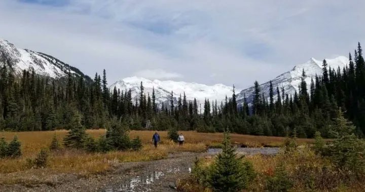 fngovernance's tweet photo. SIMPCW FIRST NATION declares ecologically diverse watershed near Mount Robson Park an Indigenous protected area.  @globalnews  | https://t.co/V41NVWU3Sw https://t.co/y85K7lavfp https://t.co/LBWXQHdJU4