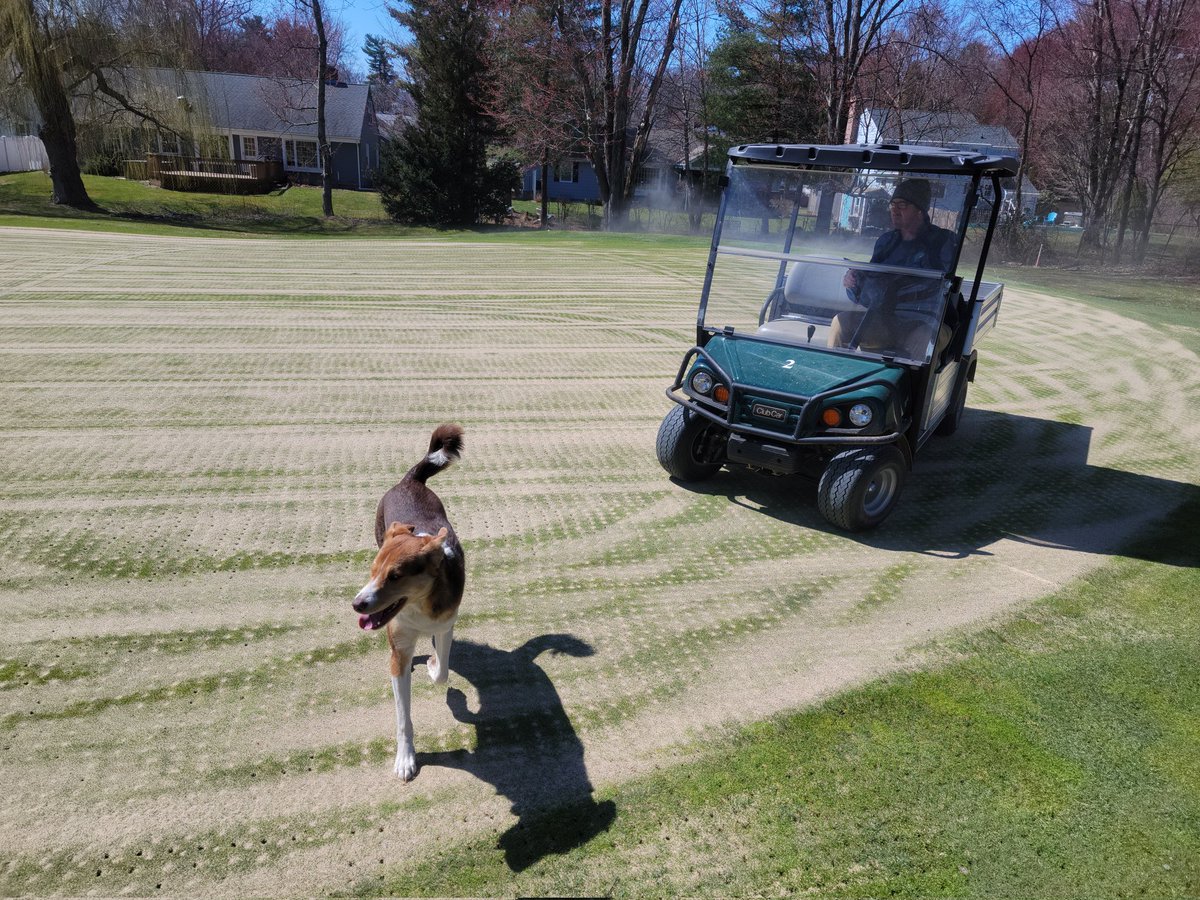 Chad Hall tweet media