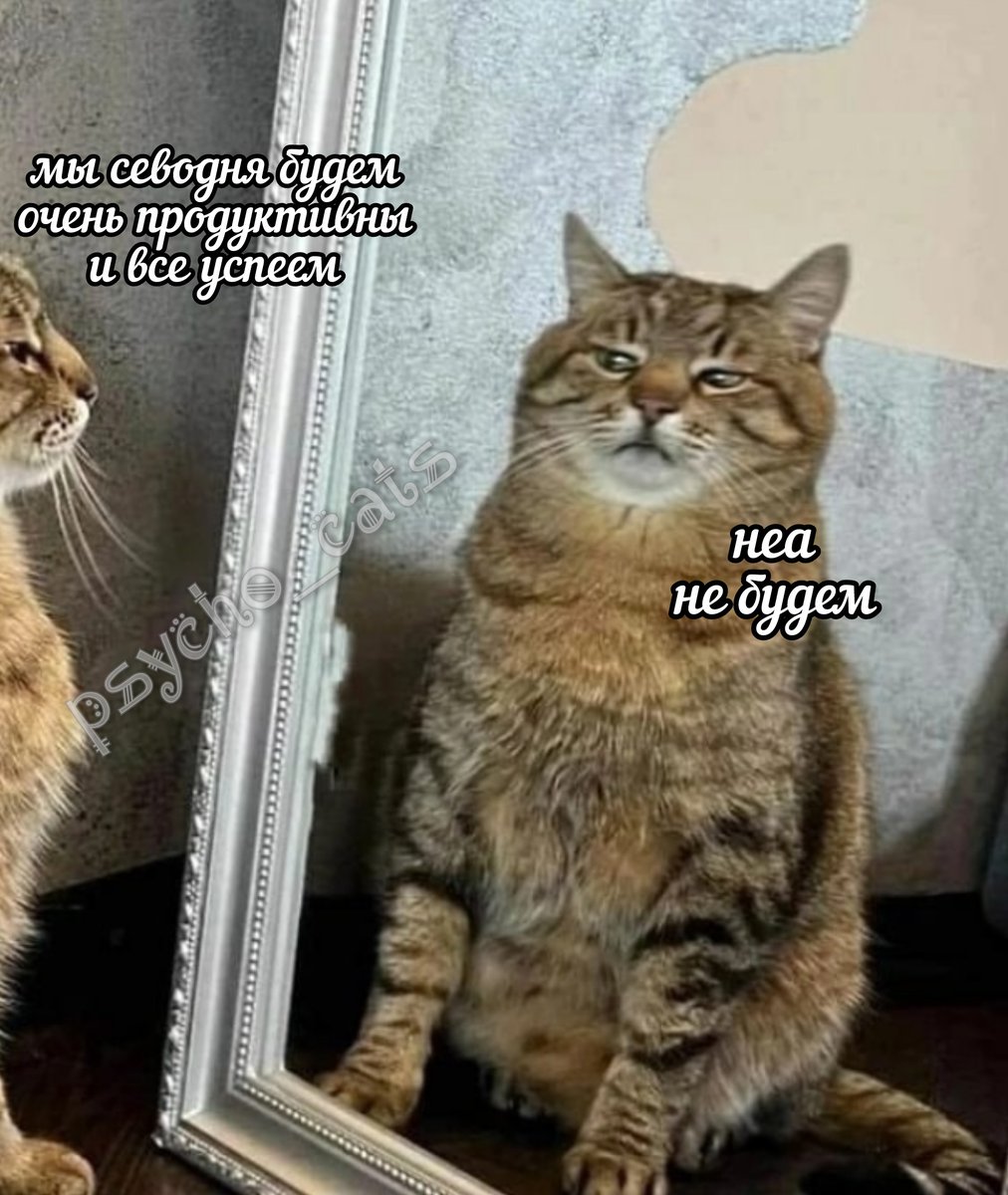 psycho__cats's tweet photo. https://t.co/QJ98rpOCc2