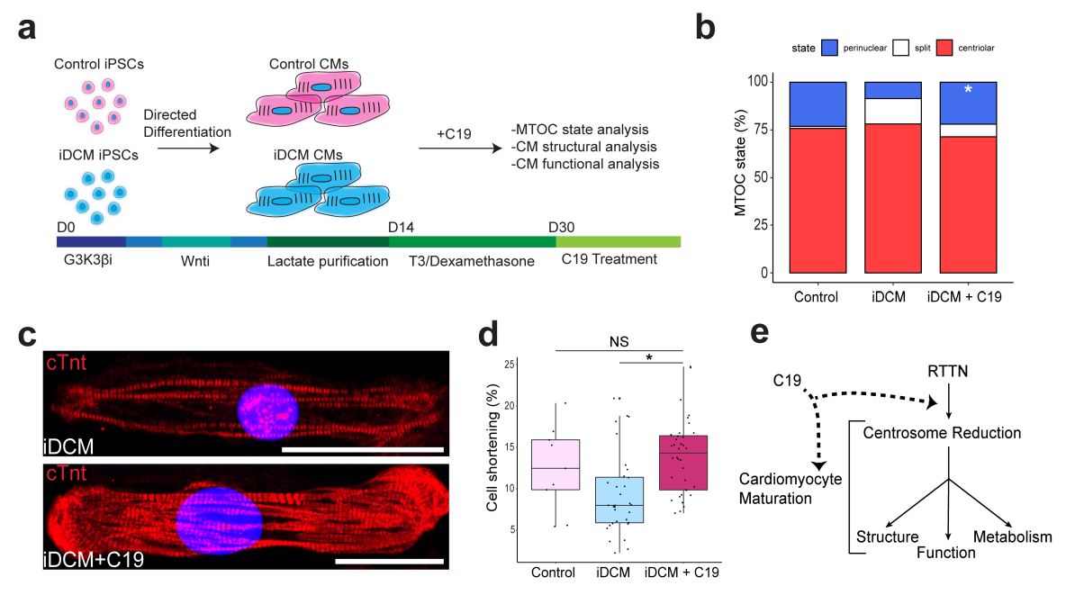 Circulation tweet media