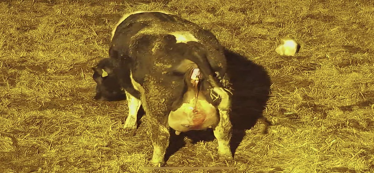 ๐ด๓ ง๓ ข๓ ณ๓ ฃ๓ ด๓ ฟANDREW PATERSON๐๐โค๏ธโ๏ธ tweet media