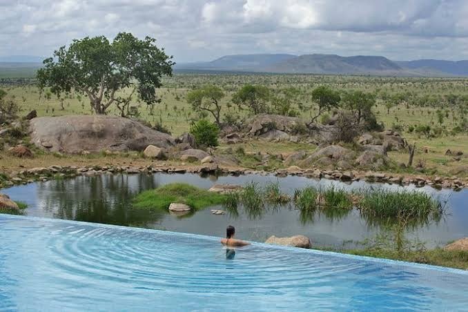 joicatours's tweet photo. Come and take in spectacular views of Serengeti in this infinity pool 🏊🏼‍♂️ 😍 😍

Contact us 📩 joicatours@gmail.com

#joicatours #luxuryescapes #serengeti #tarangire #travelinsider #africansunset  #holidays🌴 https://t.co/JOvDVcL0bW
