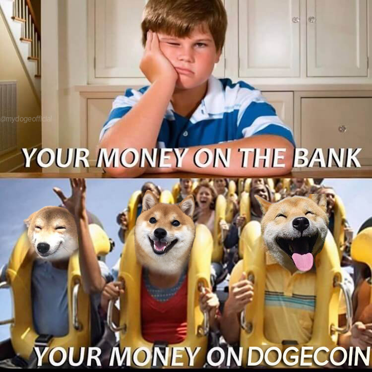 Dogecoin is the most fun crypto!