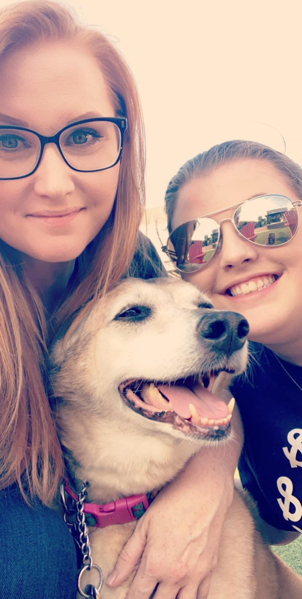 Bsquared417's tweet photo. @Chewy is amazing. They sent flowers and a card after losing my sweet 16-year-old dog, Zoey. Thank you. Truly a one-of-a-kind company. https://t.co/8jbZGPgas8