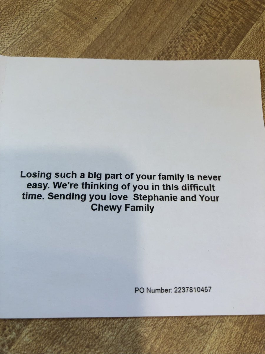 Bsquared417's tweet photo. @Chewy is amazing. They sent flowers and a card after losing my sweet 16-year-old dog, Zoey. Thank you. Truly a one-of-a-kind company. https://t.co/8jbZGPgas8