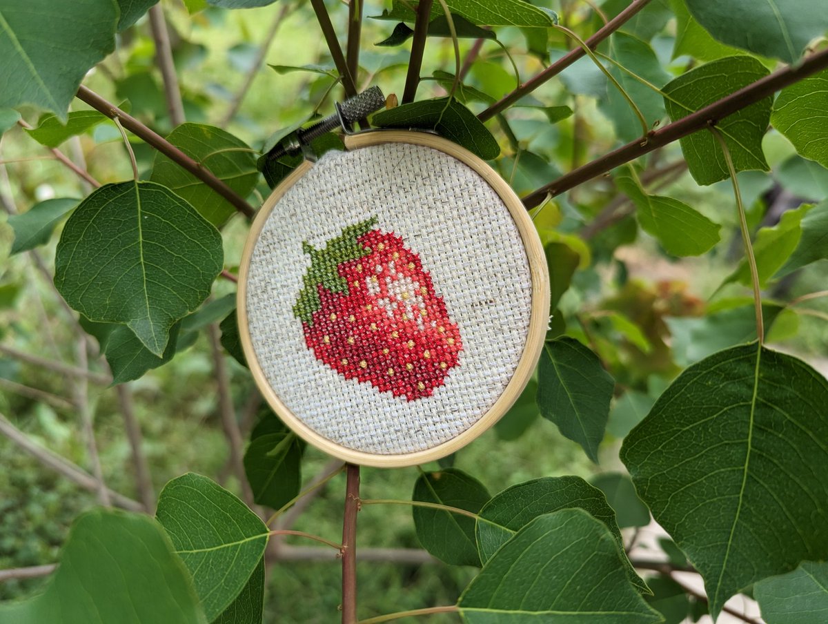 theshyfox's tweet photo. #crossstitch #strawberry https://t.co/s4FSblAE01