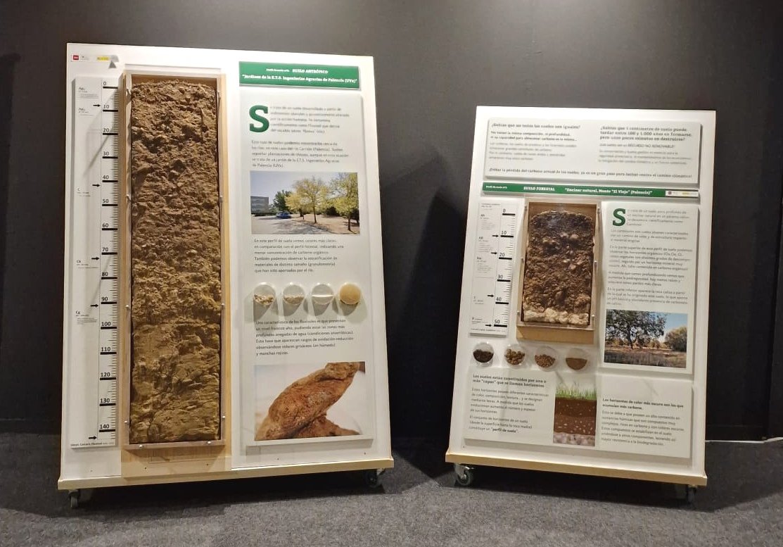 Salumafar's tweet photo. Aprovechando para visitar la exposición 'Los bosques ante el cambio climático' @BosquesYcc en @MCienciaVLL antes de que acabe. 
Muchísimas gracias a @YoungForesters @ETSIIAAPalencia @UVaPalencia y enhorabuena por la exposición. 

¡Rápido, que solo está hasta el 9 de abril‼️ https://t.co/pWJ09f7rRg