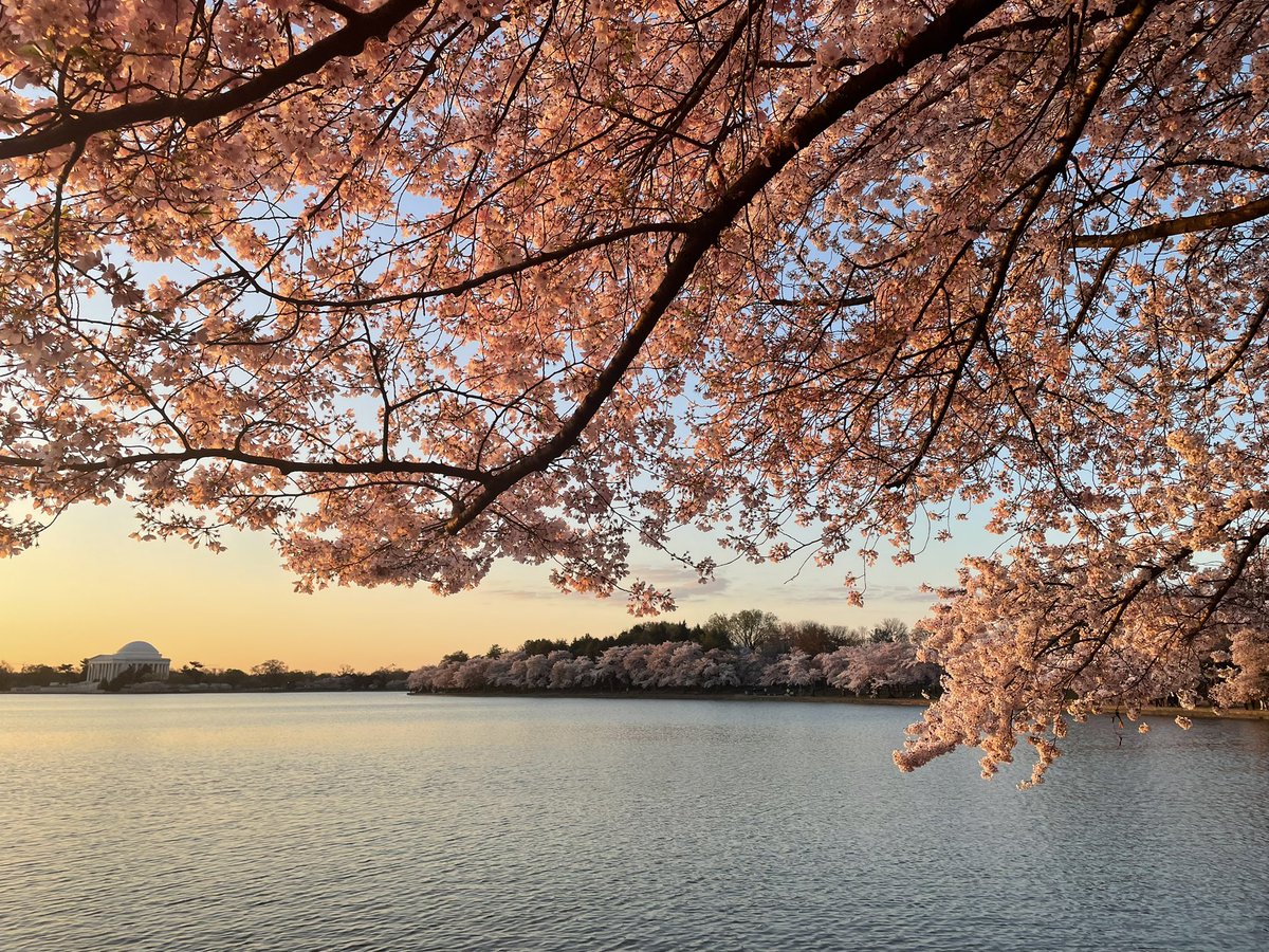 Jessie Huang tweet media