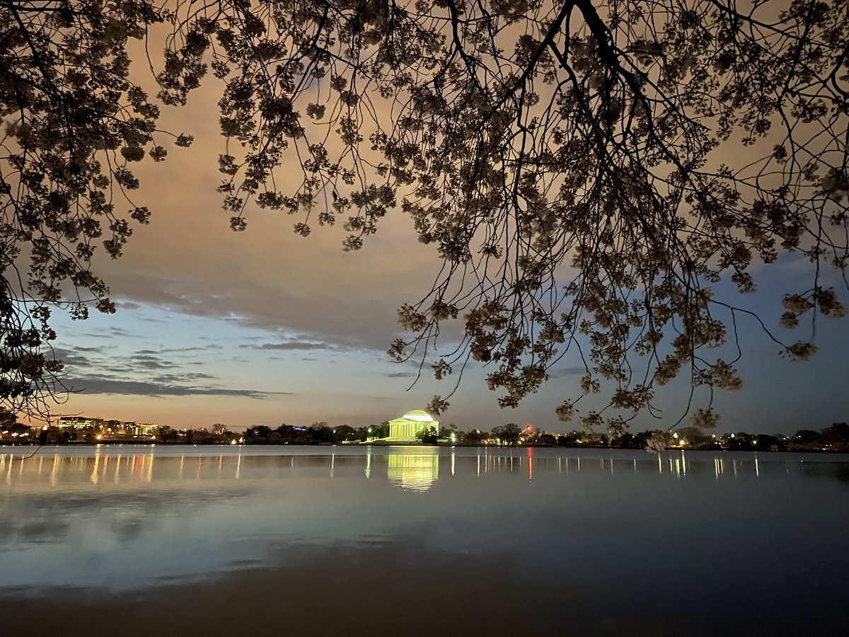 Jessie Huang tweet media