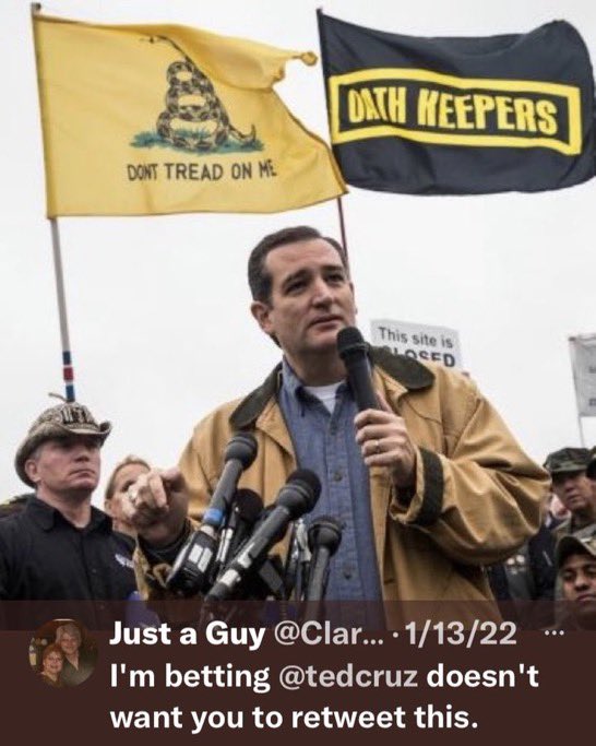 FrankMikeDavis1's tweet image. Should Ted Cruz be prosecuted for Sedition ???